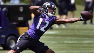 Mike Wallace Baltimore Ravens