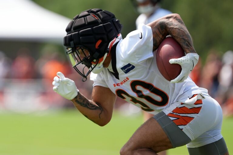 Chase Brown 2024 fantasy outlook